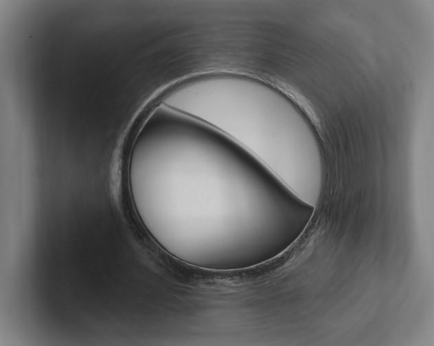 X0000102870580200808181047