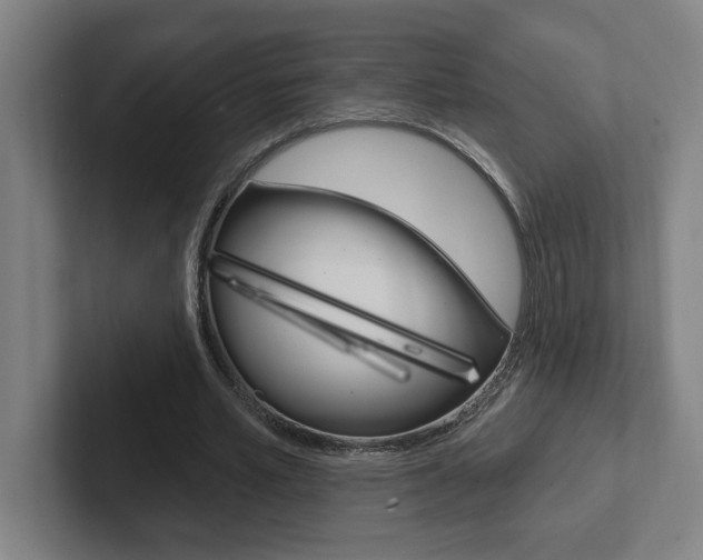 X0000102870581200808181047