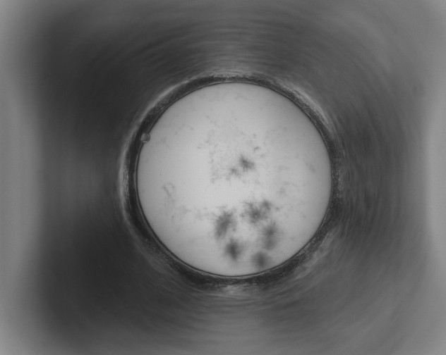 X0000102870584200808181047