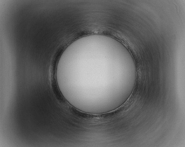 X0000102870594200808181047