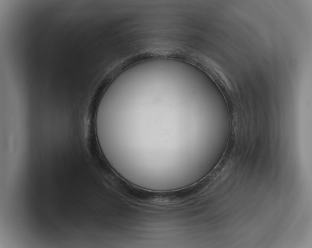 X0000102870596200808181047