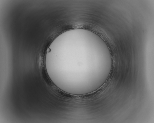 X0000102870598200808181047