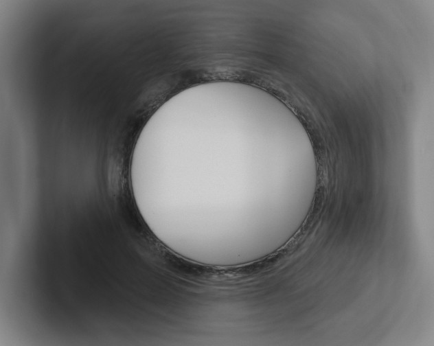 X0000102870599200808181047