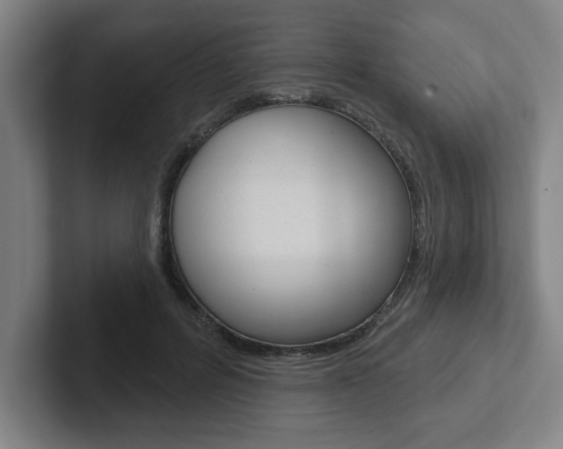 X0000102870600200808181047