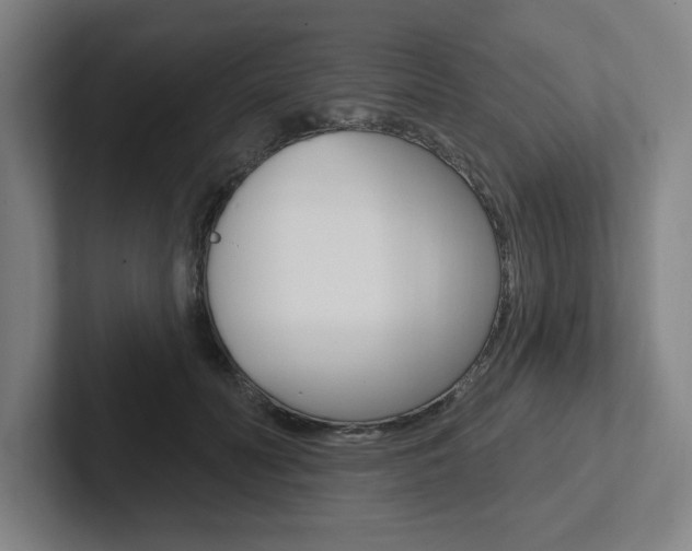 X0000102870606200808181047