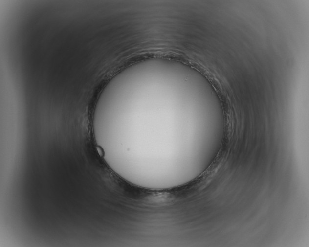 X0000102870609200808181047