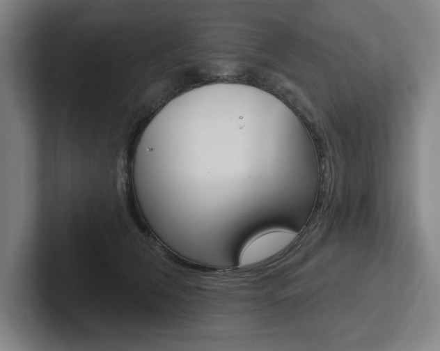 X0000102870612200808181047