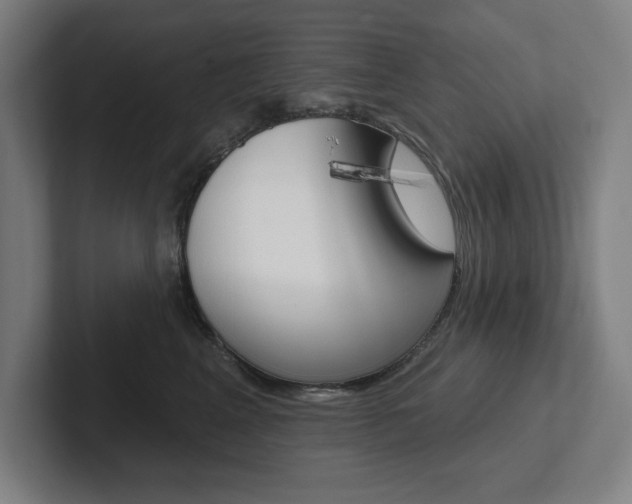 X0000102870617200808181047