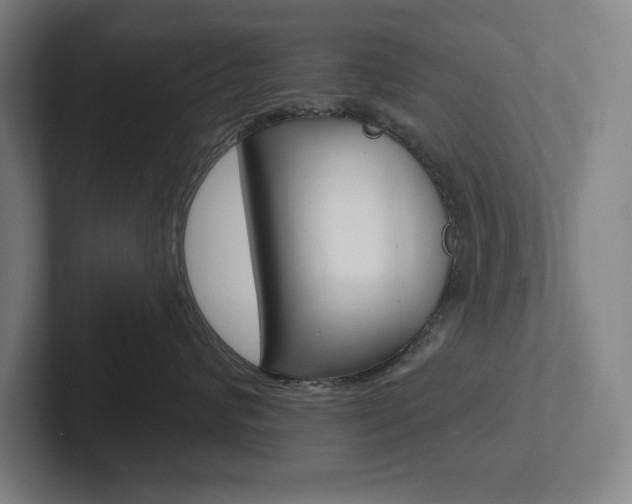X0000102870624200808181047