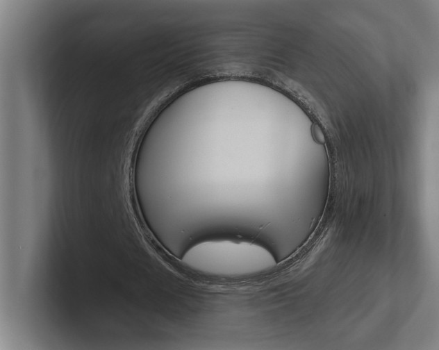 X0000102870625200808181046