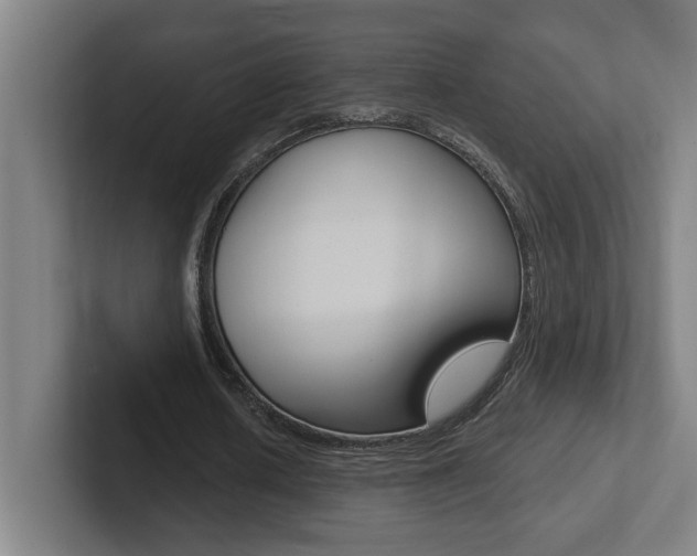 X0000102870626200808181046
