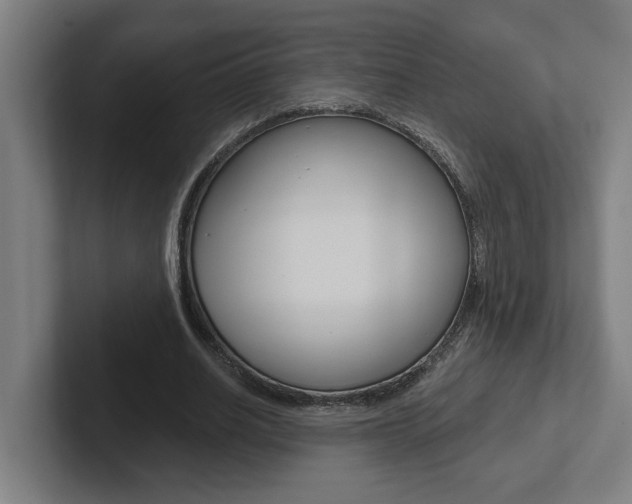 X0000102870630200808181046