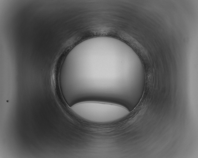 X0000102870638200808181046