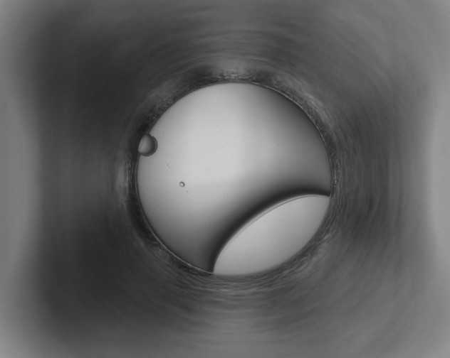 X0000102870645200808181046