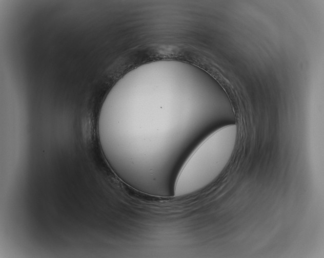 X0000102870651200808181046