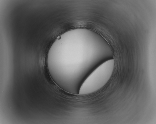 X0000102870652200808181046