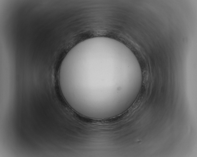 X0000102870655200808181046