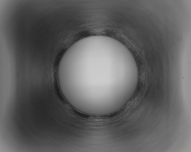 X0000102870658200808181046