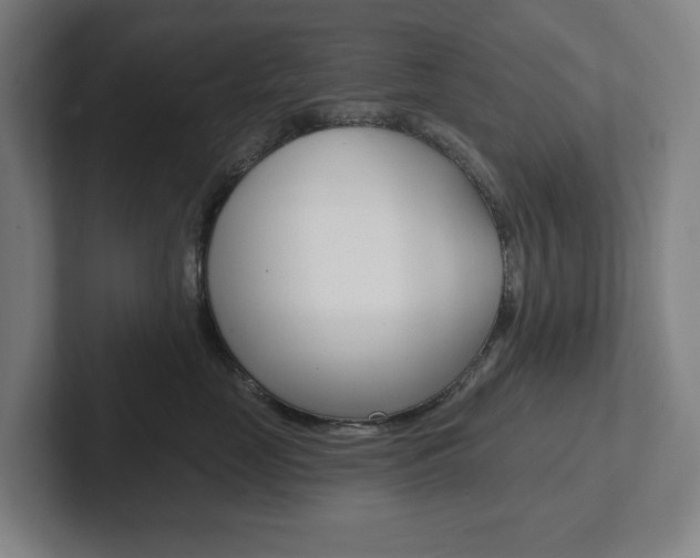 X0000102870669200808181047