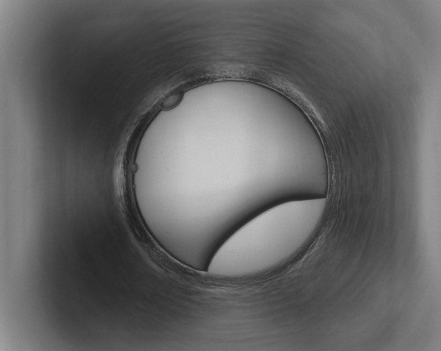 X0000102870674200808181046