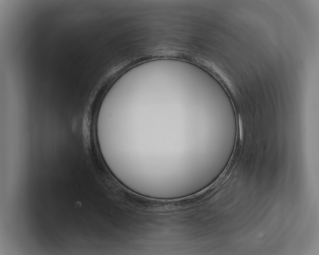 X0000102870675200808181046