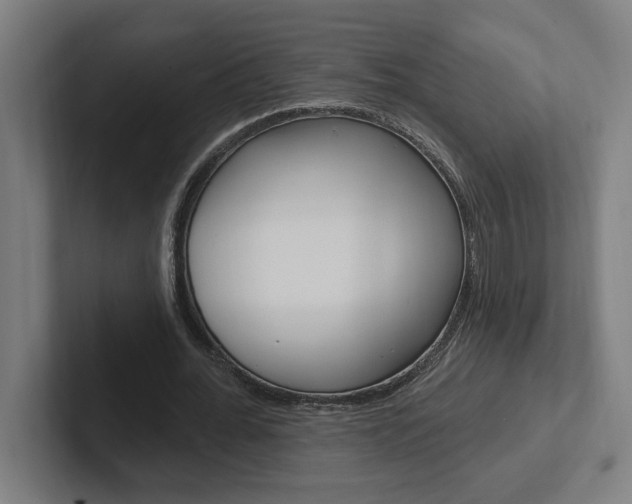 X0000102870676200808181046
