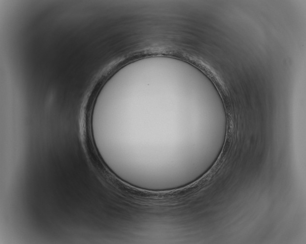 X0000102870678200808181046