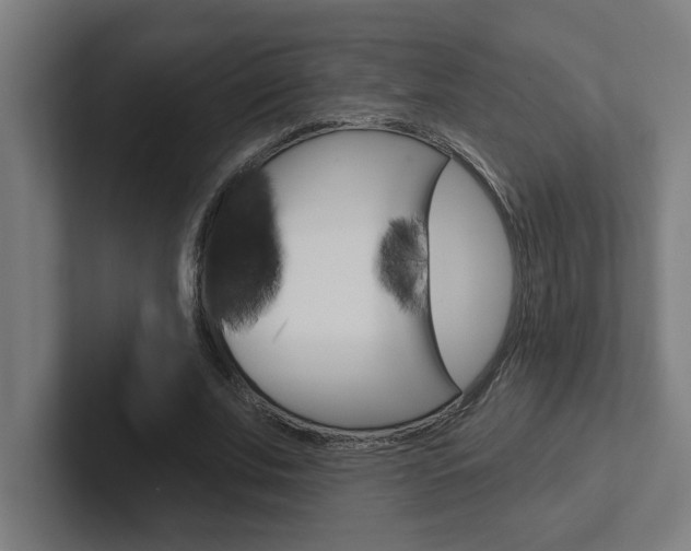 X0000102870679200808181046