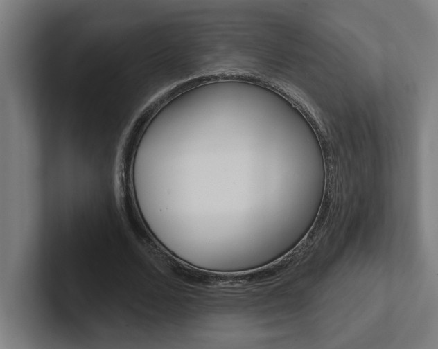 X0000102870680200808181046