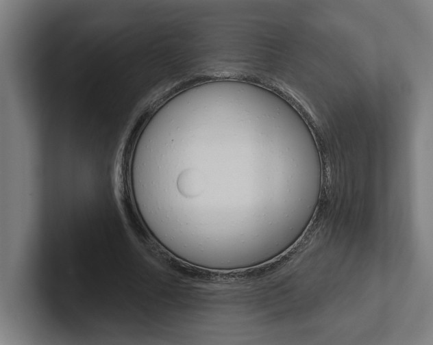 X0000102870682200808181046