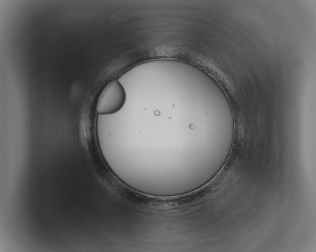 X0000102870683200808181046
