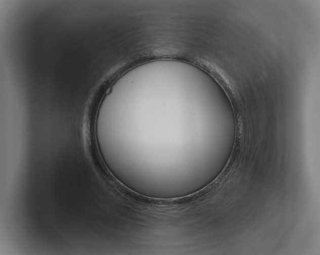 X0000102870684200808181046