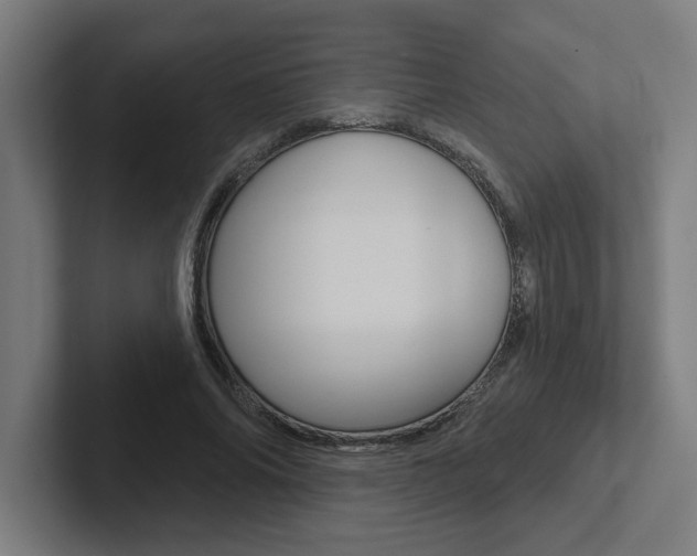 X0000102870686200808181046