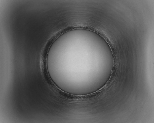 X0000102870688200808181046