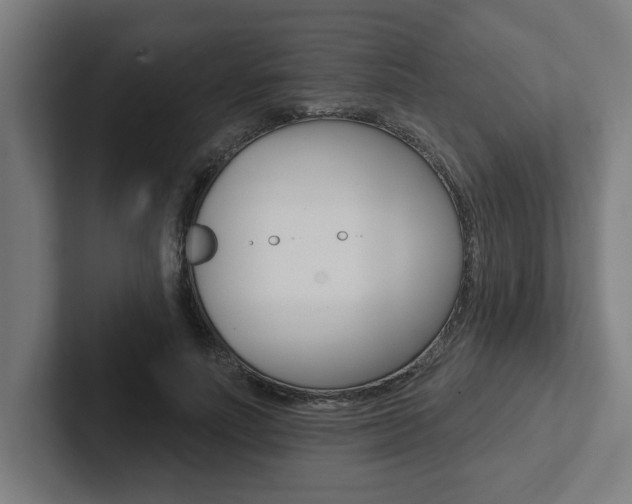 X0000102870691200808181046
