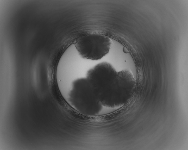 X0000102870695200808181046