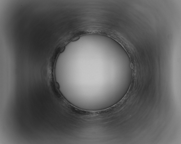 X0000102870696200808181046