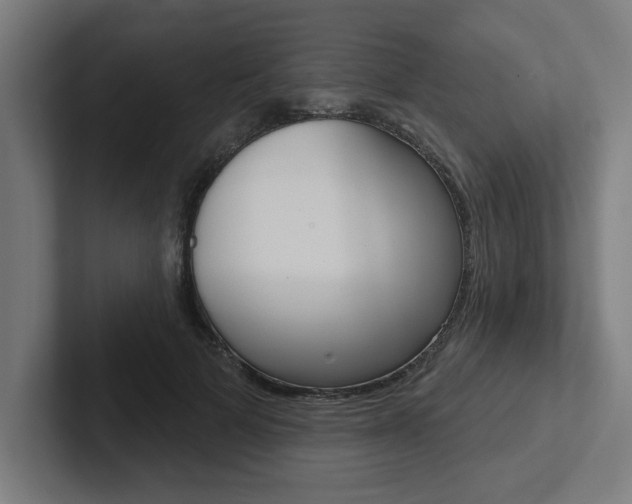 X0000102870697200808181046
