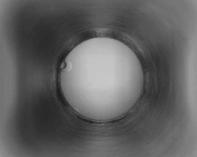 X0000102870698200808181046