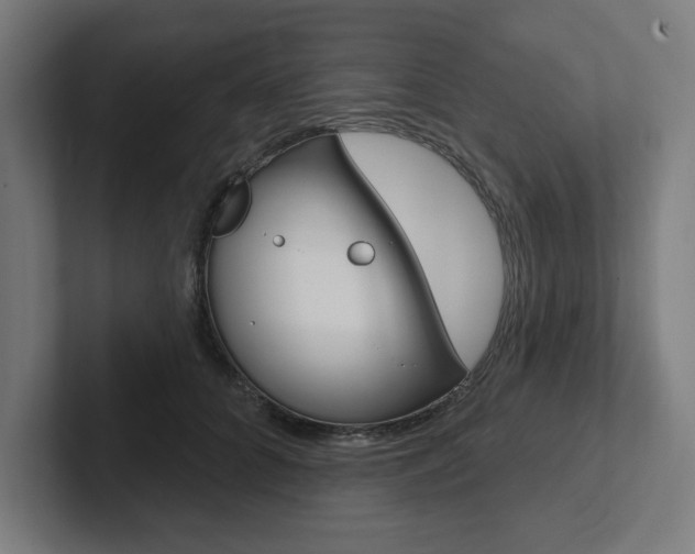 X0000102870704200808181046