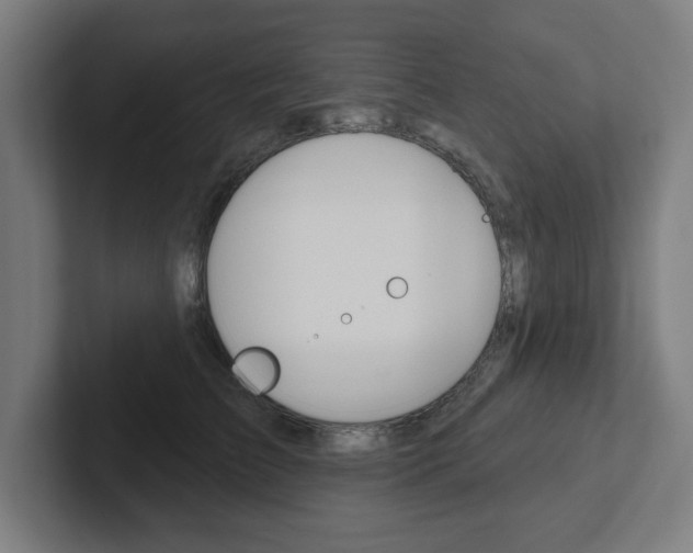X0000102870709200808181046