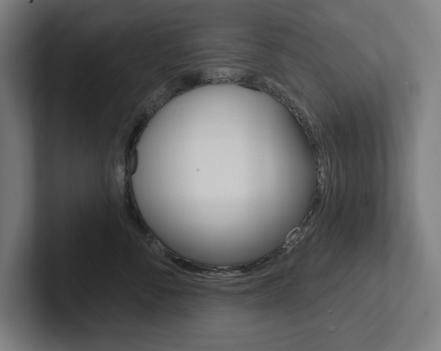 X0000102870716200808181045
