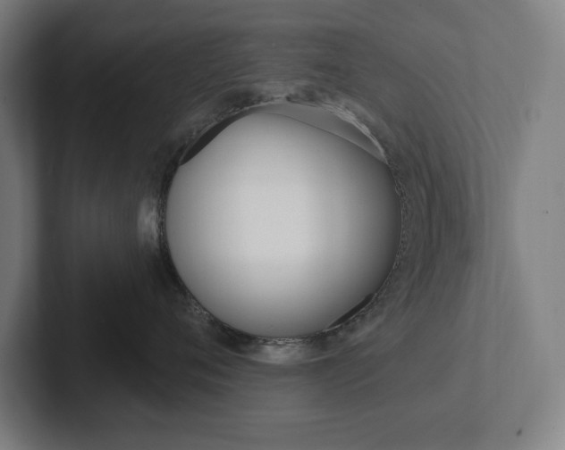 X0000102870720200808181045