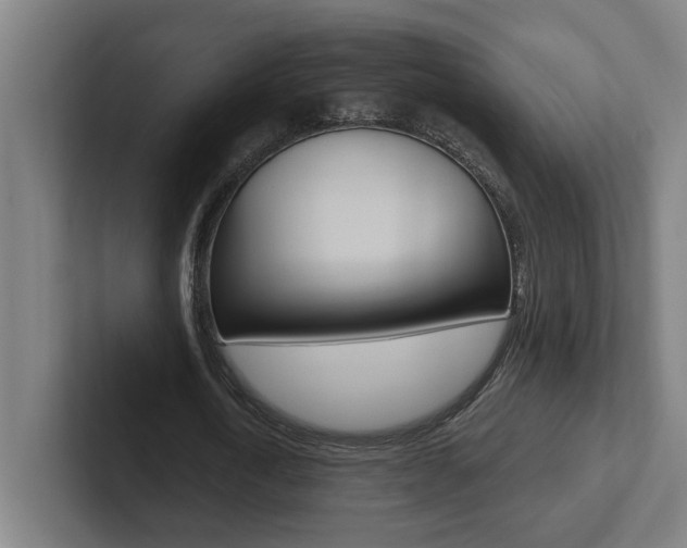 X0000102870722200808181045