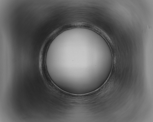 X0000102870724200808181045