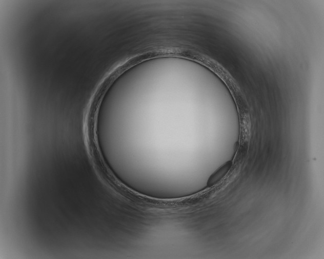 X0000102870726200808181045