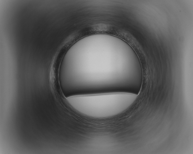 X0000102870731200808181045