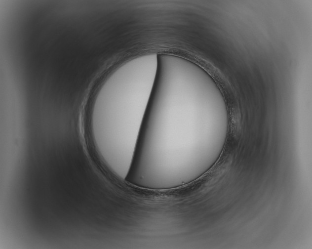 X0000102870734200808181045