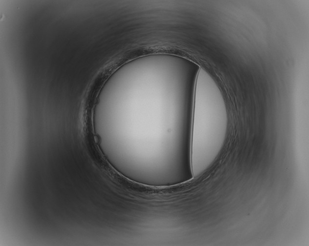 X0000102870735200808181045