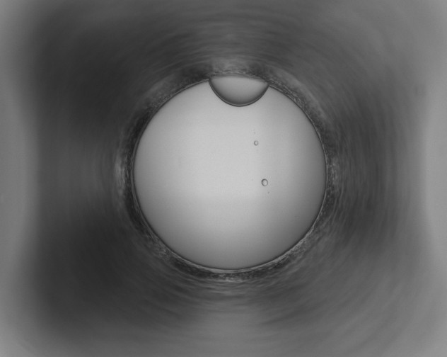 X0000102870741200808181045